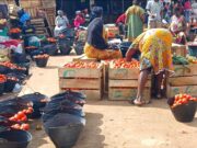 High cost of tomatoes affecting our sales- Racecourse Tomato Sellers