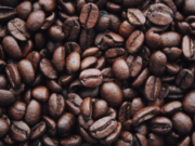 Ghana Cocoa Board Abandons International Bank Loans for 2024-2025 Cocoa Season Funding Ghana Cocoa Board