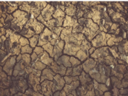 Over GH¢1.18 Billion at Risk in Agriculture as Drought in Ghana Threatens Key Farming Zones drought in ghana