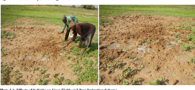 irrigation Irrigation