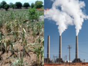 Climate Change Threatening Ghana’s Agriculture Climate Change