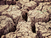 Almost 68M Affected With Severe Drought in Southern Africa Drought in South Africa