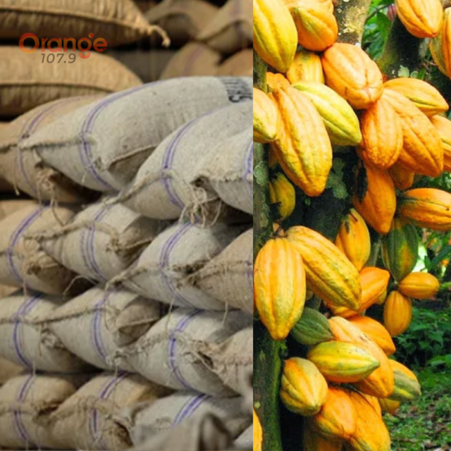 cocoa final cocoa
