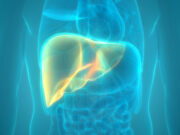 Ghana Records Over 15,000 Deaths from Hepatitis-Related Liver Diseases in 2022 hepatitis