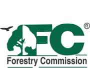 Achimota Forestry Commission Raided in Brazen Daylight forestry commission