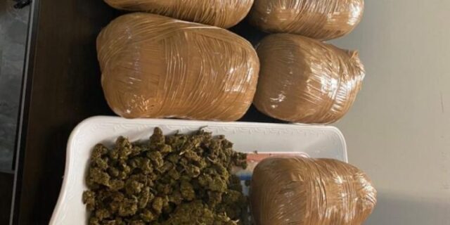 WhatsApp-Image-2025-06-25-at-10.34.39_71f27077-750x375 14 Arrested in NACOC Drug Bust as Three Chemical Shops Closed in Eastern Region