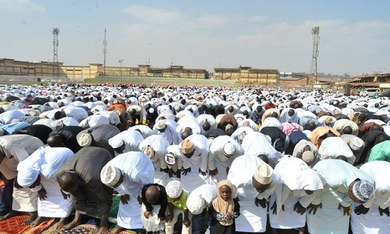 16684642 muslim