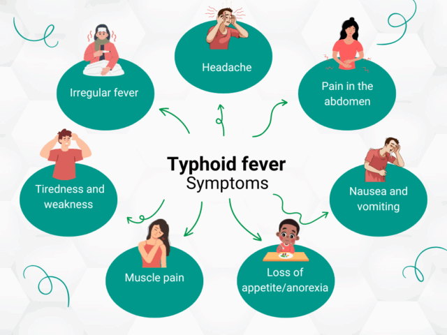 typhoid Typhoid fever symptoms