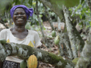 Interior Ministry Proclaims December 5 Farmers’ Day Holiday