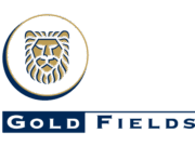 Gold Fields Damang Mine to transition to Ghanaian ownership in 2026 goldfields and the damang mine