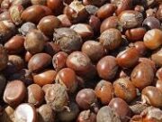 MoFA Signs $90 Million Shea Industry Investment Deal with AAK Ghana shea industry in ghana