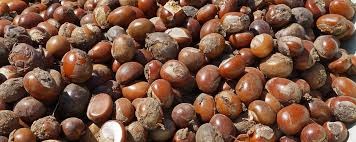 shea j shea industry in ghana