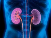 Toxic ‘Sukudai’ Local Drink Raises Alarm Over Rising Kidney Disease in Ghana kidney failure