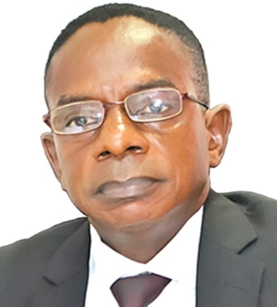 Auditor-general auditor-general