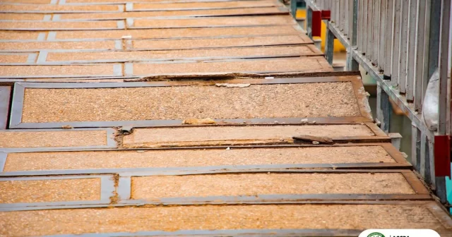 kaneshie footbridge kaneshie footbridge closure