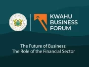 Mahama: Ghana Needs Stable Cedi, Not Strong Currency – Kwahu Business Forum kwahu business forum