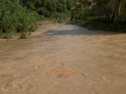 “If you displace the fish and live in their habitat, then when it rains, you become the fish.” – Dr. Samuel Boadi on KNUST flood KNUST wewe river flooding: Dr. Samule Boadi