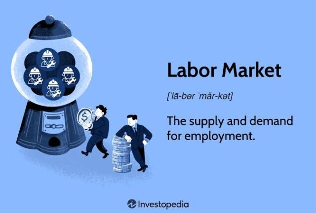 labor market swaniker on labour markets