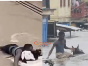 Flooding in Accra: Man swims with horse in heroic rescue amid Accra flood accra flooding man riding horse