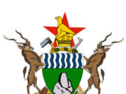 Zimbabwe rejects calls to expel South Africans The Zimbabwean government has ruled out taking retaliatory action against South Africans living within its borders