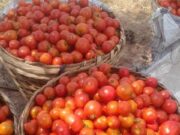 Tomato prices expected to ease as local harvest increases Consumers could see some relief from soaring tomato prices in the coming weeks as increased supplies from local farmers begin